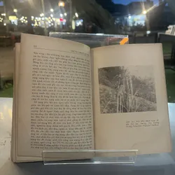 NHỮNG NHÓM DÂN TỘC THUỘC NGỮ HỆ NAM Á Ở TÂY BẮC VIỆT NAM 590253