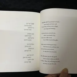 Vulture in a Cage: Poems by Solomon Ibn Gabirol.      1038080