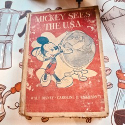 Mickey sees the U.S.A 57080