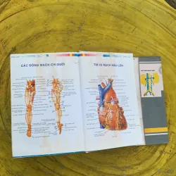 TỪ ĐIỂN Y HỌC ANH - VIỆT  nhà xuất bản từ điển Bách Khoa 790404