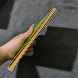 Quidditch Through The Ages - Harry Potter 786332