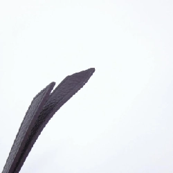 Ví Louis Vuitton Monogram Empreinte Porte-Feuille Scret Long M60298 - Hàng hiệu Authentic 806470