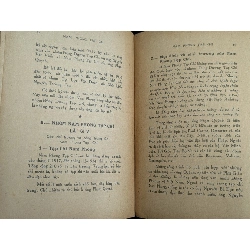 Luận đề về nam phong tạp chí - Chu Đăng Sơn & Trần Việt Sơn 754386