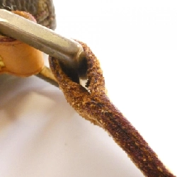 Túi đeo vai Louis Vuitton Monogram Trottter M51240 608758