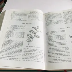 1. 📚 NHỮNG CÂY THUỐC VÀ VỊ THUỐC VIỆT NAM – Đỗ Tất Lợi 557996