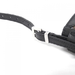 【Sản phẩm chưa sử dụng】Túi xách vai Goyard Hirondelle 612610