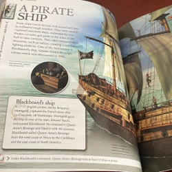 PICTURE BOOK Pirates 535963