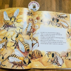 Set sách tranh cho bé 아이성장 그림책   496934