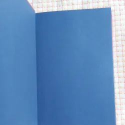 I SURVIVED: TRUE STORIES – FIVE EPIC DISASTERS - Lauren Tarshis 975136