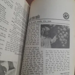 SỔ TAY NỘI TRỢ tập 62 966477