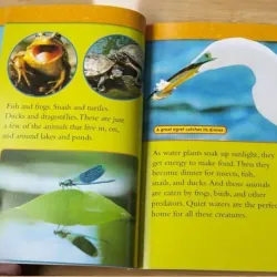 National geographic (Sách nhập) - Level 3 - 38 quyển + File Mp3 759654