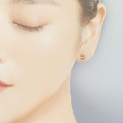 Bông tai Hermès Farandole - Hàng hiệu Chính hãng 845463