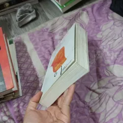 Chỉ Tại Con Chim Chích Chòe- Dương Tường 780307