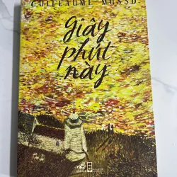 Giây Phút Này (L'instant présent) - Guillaume Musso