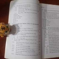 Giáo trình Kế toán Mỹ - ThS. Phạm Thanh Liêm 492663