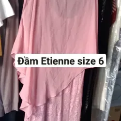 Đầm khoát voan size 6 931938