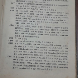 MÔ PHẠM VIỆT HOA TỪ ĐIỂN 271072