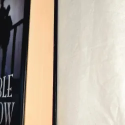 The Double Shadow - Sally Gardner (bìa cứng) 747990