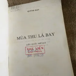 Quỳnh Dao - Mùa thu lá bay  999356