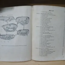 Sinh Học (Bộ 2 Tập) - W.D. Phillips & T.J. Chilton 738121