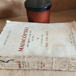 Cuộc đời và sự nghiệp của Vladimir Vladimirovich Mayakovsky, nhà thơ nổi tiếng người Nga 711610