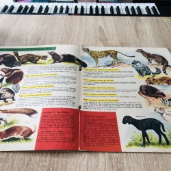 TẠP CHÍ TOUT L’UNIVERS – 1961 (5) 1017102