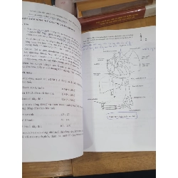 Điều Dưỡng Nhi Khoa (sách dùng đào tạo cao đẳng điều dưỡng) - Bộ Y Tế 757731