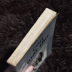 Con mắt thơ - Đỗ Lai Thuý 711336