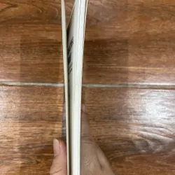 Mahatma Gandi - Michael Nicholson (8) 1004041