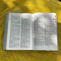 TỪ ĐIỂN VIỆT - ANH- VIỆN NGÔN NGỮ HỌC 604689