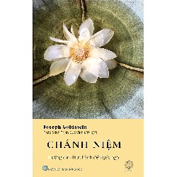 Chánh Niệm - Hướng dẫn thực hành đến Giác Ngộ [anvui] 12303