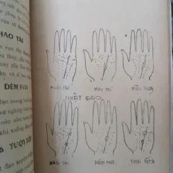 XEM CHỈ TAY - HUỲNH LIÊN TỬ 1007205