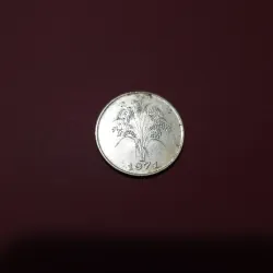 Tiền xu 1 đồng cây lúa 1971 933793