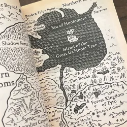 Guardians of Ga’Hoole: The Capture 972095