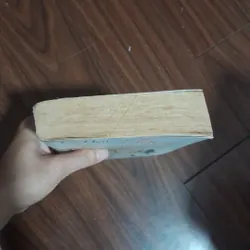 Tôi như ánh dương rạng rỡ 706599