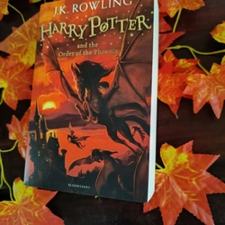 Harry Potter and the Order of Phoenix paperback 