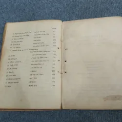 HOA HỌC TRÒ: KỶ NIỆM MÙA HÈ 957470