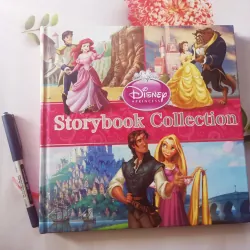 Disney Princess Storybook Collection 961402
