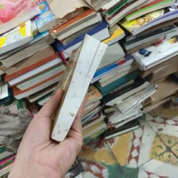 Từ Ấy Và Việt Bắc - Tố Hữu 1009453