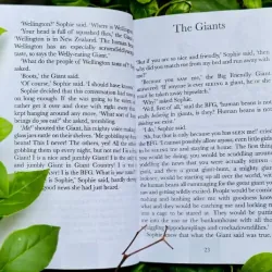 Sách - Roald Dahl 24 quyển có file mp3 full boxset tặng audio + film 1024190