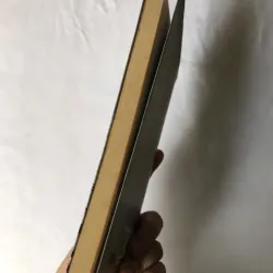 Đong Tấm Lòng - Nguyễn Ngọc Tư 782227