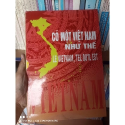 Có một Việt Nam như thế -