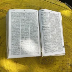 TỪ ĐIỂN ANH - VIỆT ENGLISH- VIETNAMESE DICTIONARY  702037