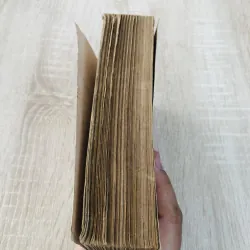 XUÂN NGUYỆT – Bette Bao Lord 961437