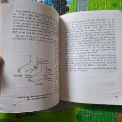 Bấm huyệt nơi bàn chân 1027667