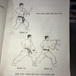 Karate-ka thượng đẳng - Hồ Hoàng Khánh 977073
