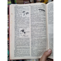 Webster's New World Dictionary of the American Language - College Edition 448786