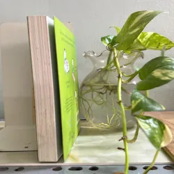 Hạnh phúc là 751823