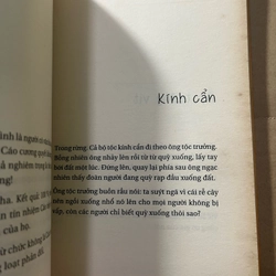 Những mãnh vỡ 524379