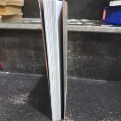 Sourdough Bread 1002818